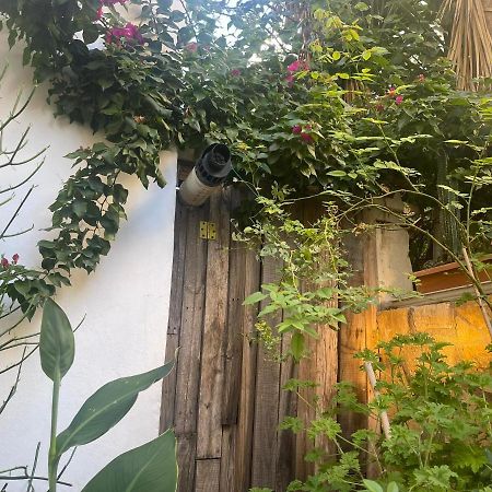 Eleonora'S Hidden Gem Lejlighed Athen Eksteriør billede